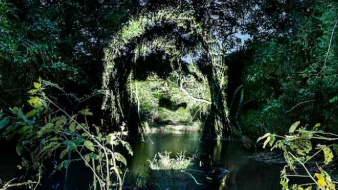 震撼亚马逊热带雨林上惊现人脸