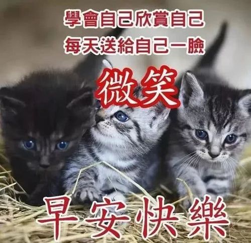 2020年2月23日抗击疫情最新早上好特漂亮的动态祝福图片 春天暖心早安