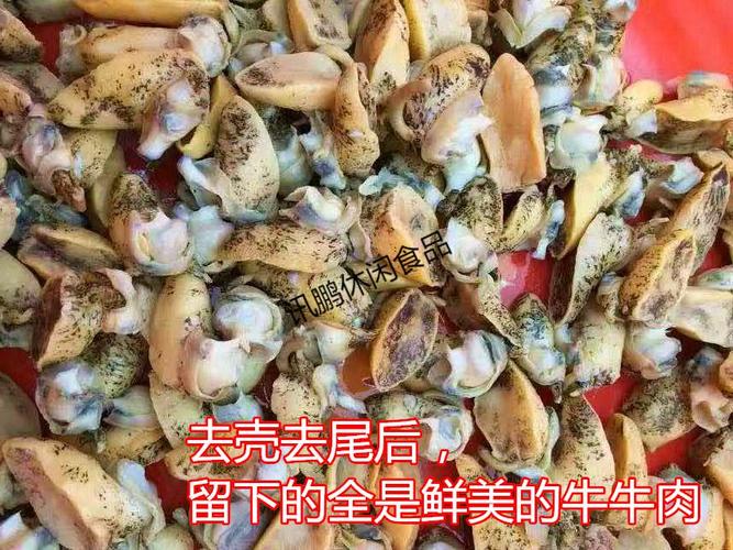 5折 长岛海鲜北隍岛海牛牛肉鲍鱼螺肉黄鲍老婆脚 捞汁麻辣海鲜原料