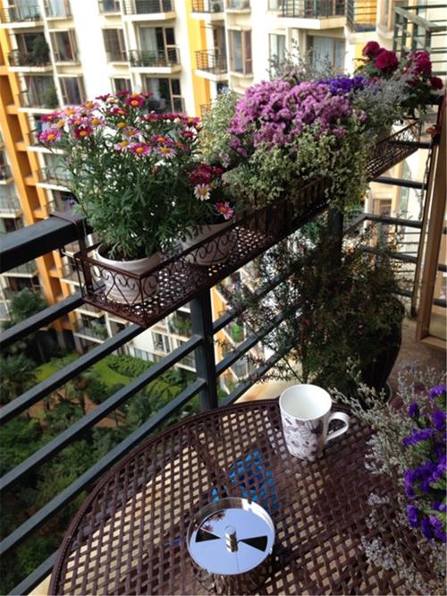 花架阳台挂式铁艺栏杆悬挂花盆架护栏窗台多肉壁挂花架子