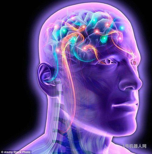 把大脑上传给计算机?专家揭秘如何实现数字化永生