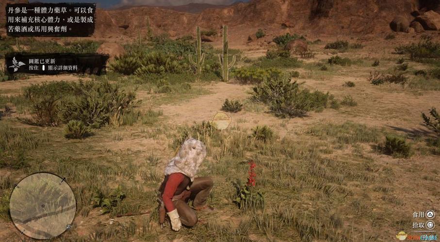 荒野大镖客2全草药植物位置一览