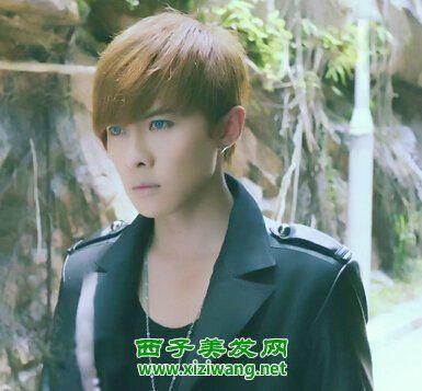 唐禹哲吸血鬼发型造型图(4)