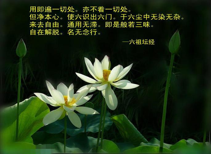 李佳宁【布施】【有一个人】