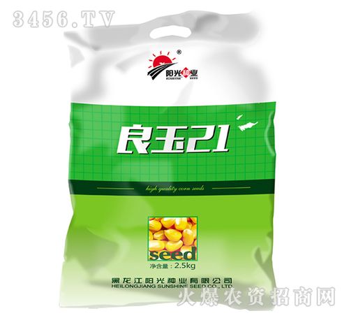 良玉21玉米种子阳光种业