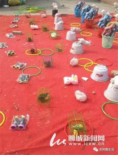 【东阿春节盘点之三】套圈:东阿套圈游戏现"套鸭子""套天鹅" 小伙伴们