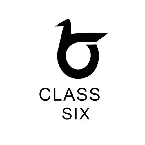 6班陆雪花创意个性班徽图案设计