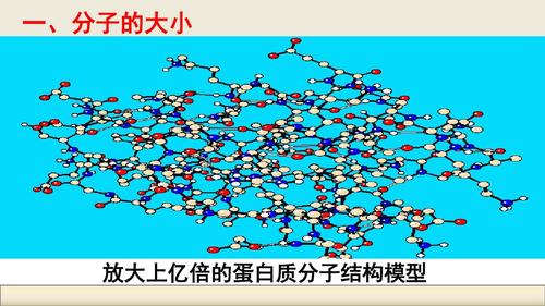一,分子的大小 放大上亿倍的蛋白质分子结构模型