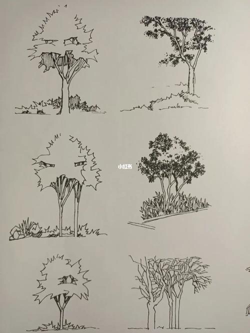 手绘单体树‖景观快题_考研_设计_手绘_风景_园林_景观设计_兴趣爱好
