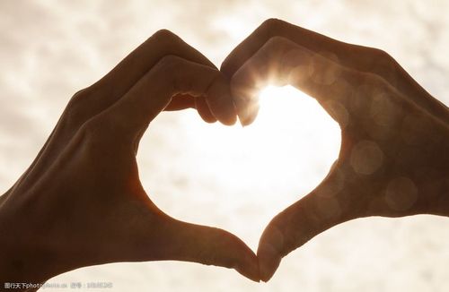 手组成心型图片