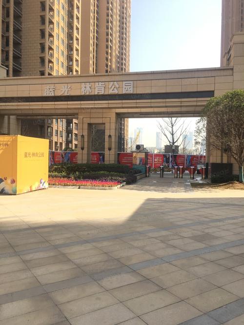 蓝光林肯公园图片_蓝光林肯公园实景图(武汉链家新房)