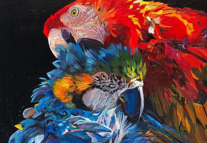 鹦鹉油画