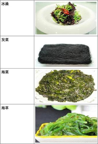 胶东海菜品种图片大全