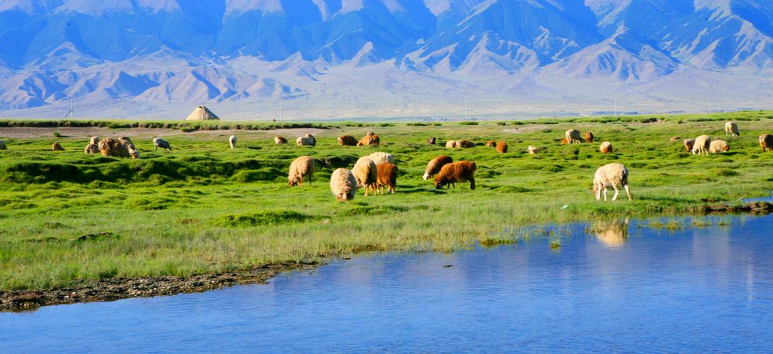 2020行摄新疆――哈密市巴里坤哈萨克自治县