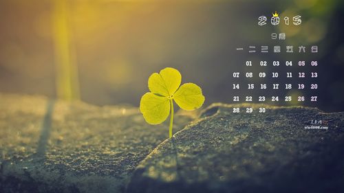 2015年9月日历绿色植物三叶草高清电脑桌面壁纸下载2