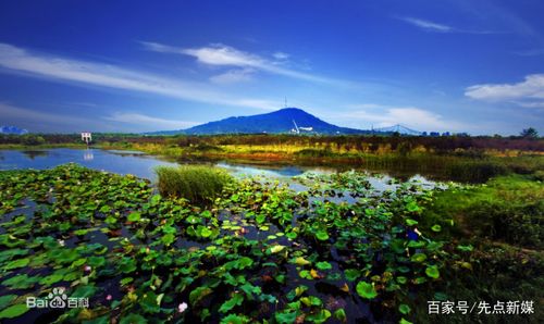合肥大蜀山原来是火山喷发形成 有专家提议将其建成