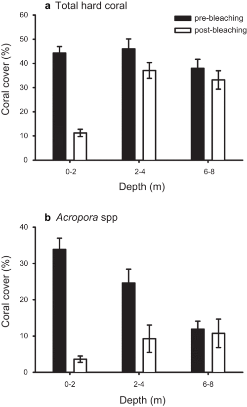 a total of 40  acropora species were observed during the