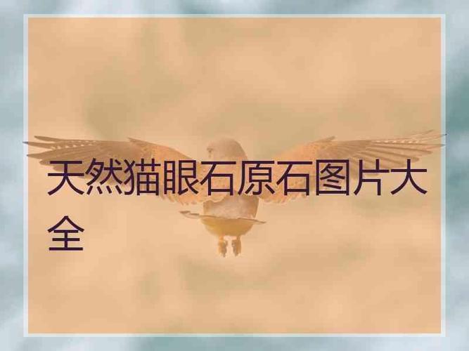 天然猫眼石原石图片大全