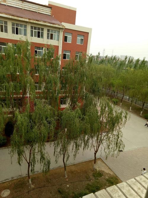 宁夏回族自治区银川市西夏区文萃北街靠近宁夏广播电视大学天气预报