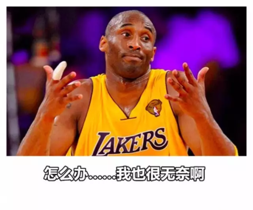 表情包科比演绎24h各时刻状态你敢说不对