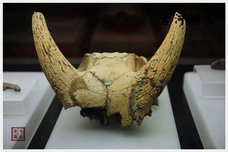 河姆渡,河姆渡遗址