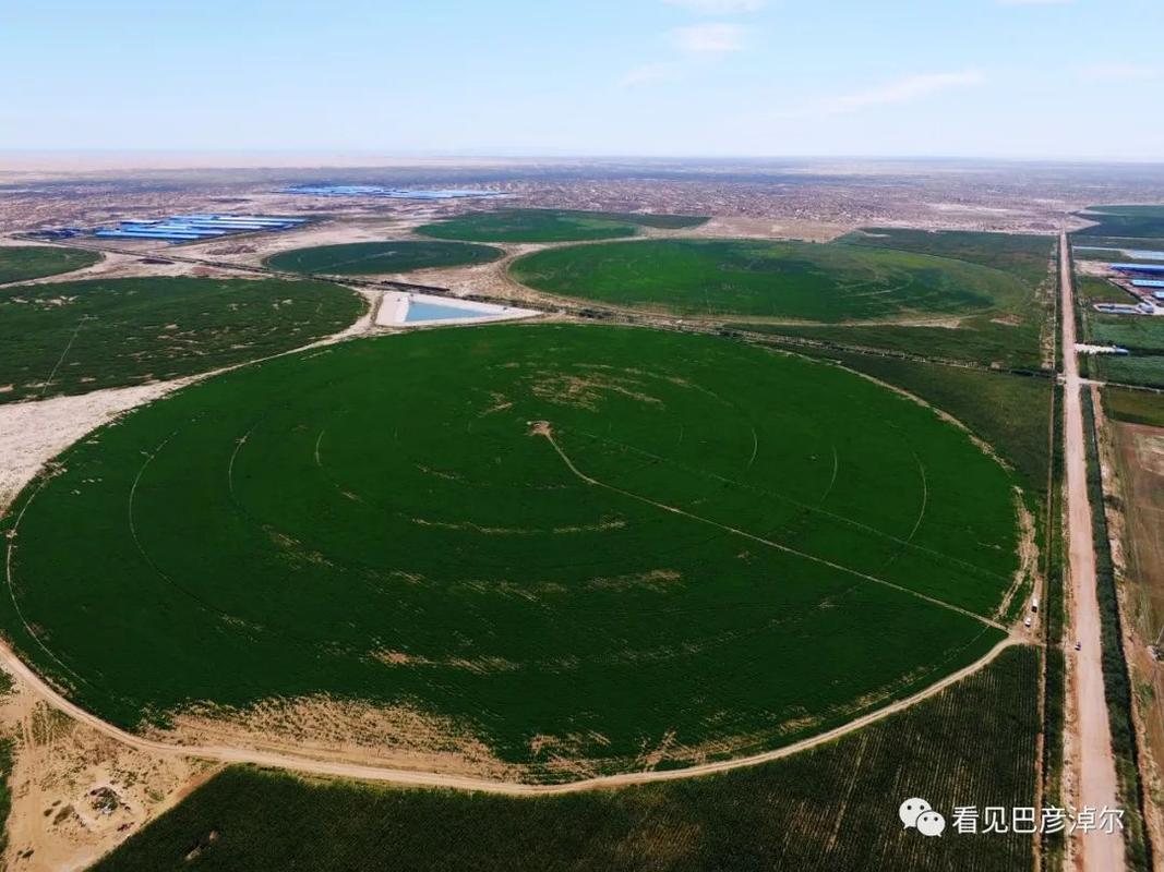巴彦淖尔市乌兰布和沙漠治理区被命名为全国"绿水青山就是金山银山"