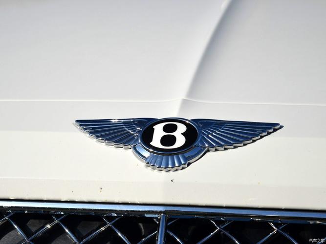 展开全部 mini本来就是宝马的啊,宾利是大众旗下的,两个标志有点相似