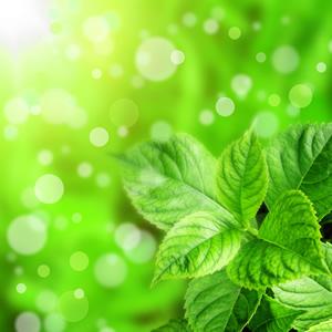 微信好友头像绿色是什么意思