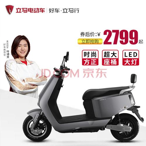 立马电动车上牌新款hi趣时尚方正款成年代步车双人男女电动摩托车 浅
