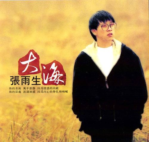 大海·张雨生 (1992)