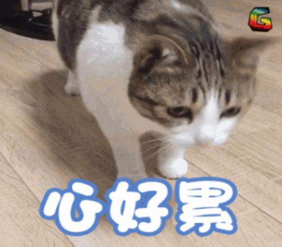 心好累图片(心好累——搞笑文字表情包)