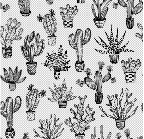 仙人掌的简笔画有哪一些