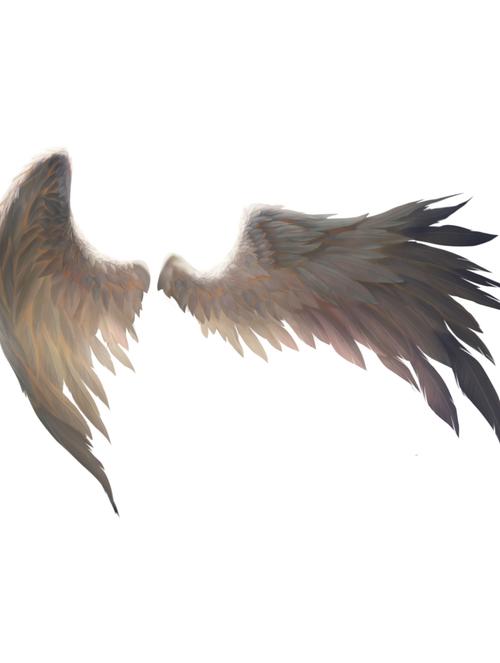 板绘素材一堆翅膀的素材