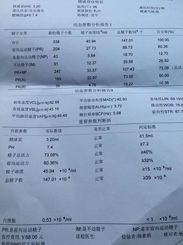 请专业人士看看这份精液报告 正常吗