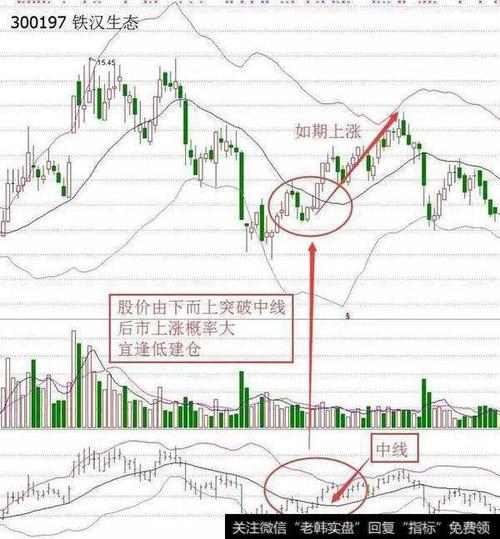 案例:铁汉生态