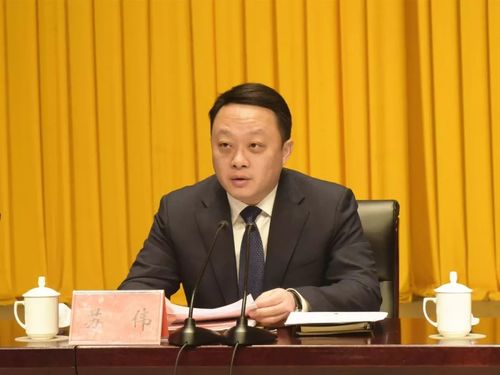 头条营商环境提升沛县给您一个发展强磁场