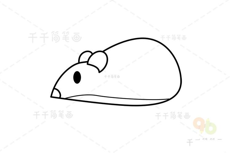 动物简笔画 牙买加稻鼠简笔画 牙买加稻鼠又叫牙买加仓鼠,体型与仓鼠