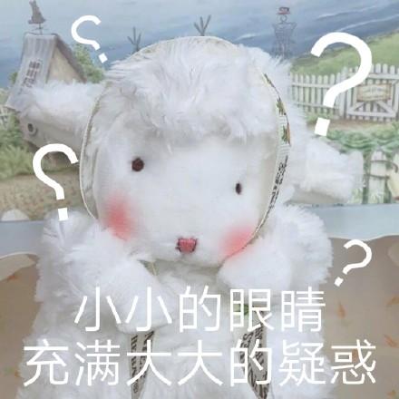 小小的眼睛充满大大的疑惑(小羊表情包)