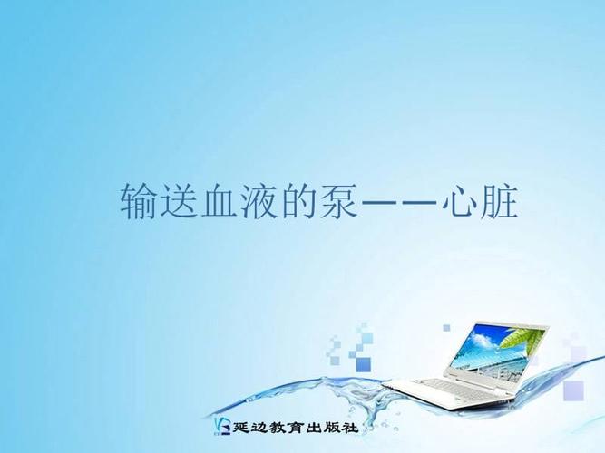 4.心脏的结构.ppt