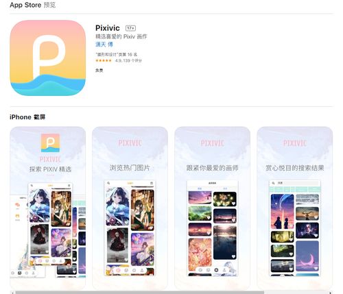 app又一个第三方看p站图的apppixivic