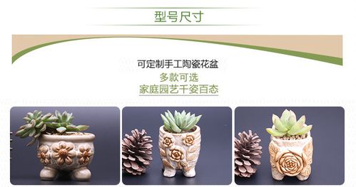 貌美立体贴花手绘肉肉花器 高深凹造型花盆 立体花拇指盆百搭.