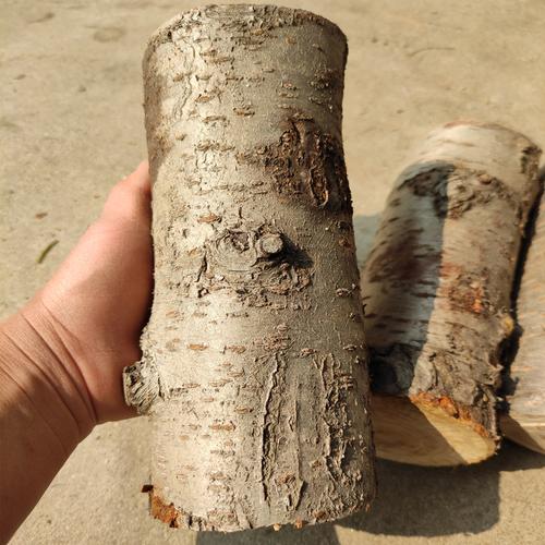 桃木原木木雕圆雕原料植物田园中国工艺品桃树木工diy练手干料