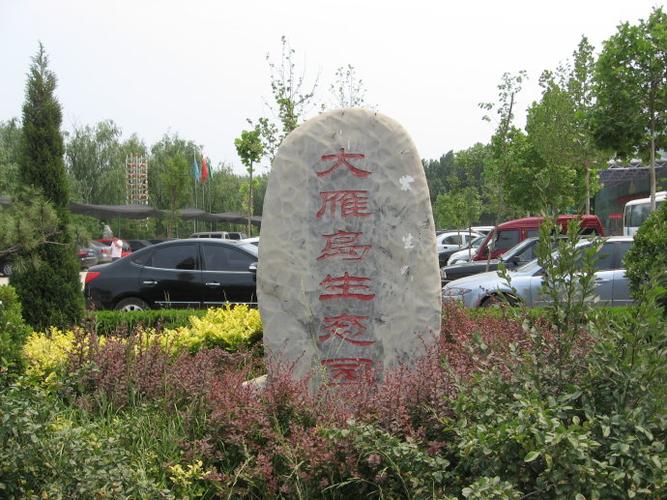 ▲德州经济技术开发区里的大雁岛生态园.