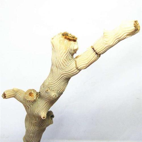 天然红珊瑚的六大等级划分及如何分辨真假