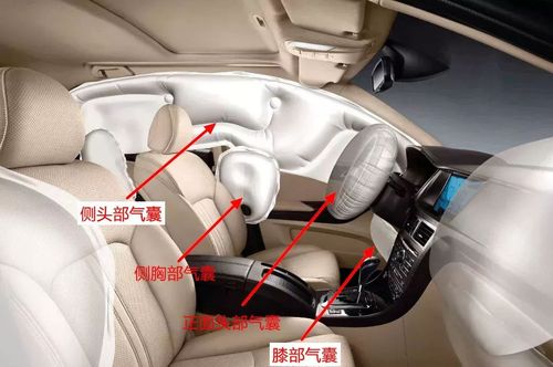 这个图中没有标明的,euro ncap评测中的盆骨气囊应该在侧胸部气囊更