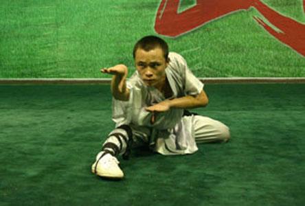 蛇拳