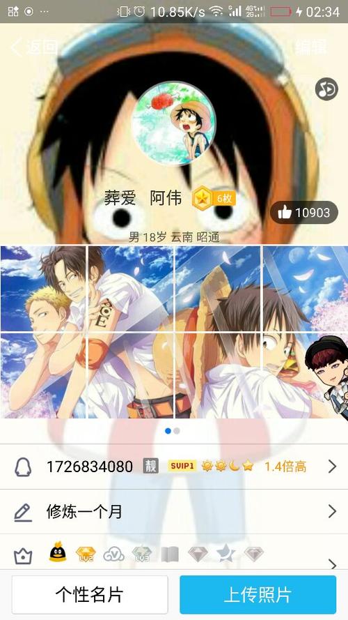 谁有qq照片墙海贼王的8张拼图的