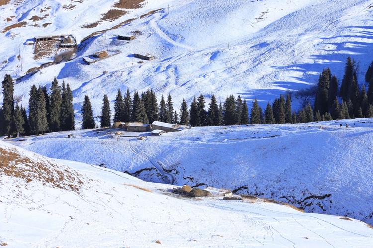 伊犁河谷,冬季最美的雪景