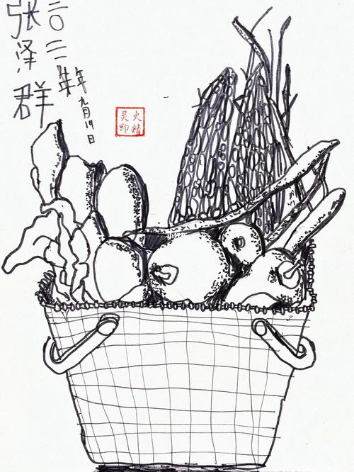 线描写生,色彩写生.蔬菜篮子.小学2.