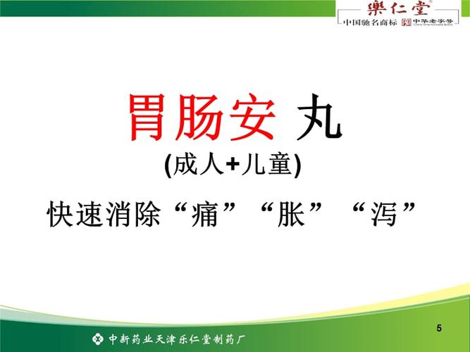 乐仁堂胃肠安丸ppt幻灯片